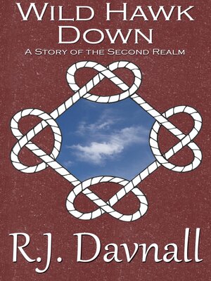cover image of Wild Hawk Down